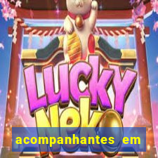 acompanhantes em nova mutum